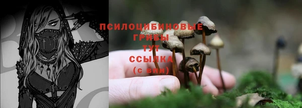 марки lsd Аркадак
