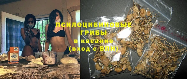 молекула духа Армянск