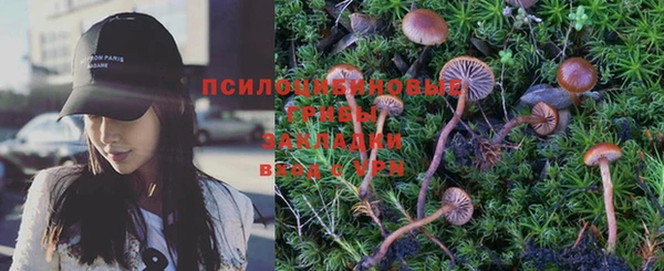 дживик Алексин